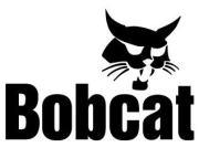 Bobcat
